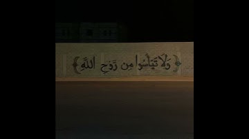 القرآن الكريم | سورة يوسف الآية {87}🍃💚.