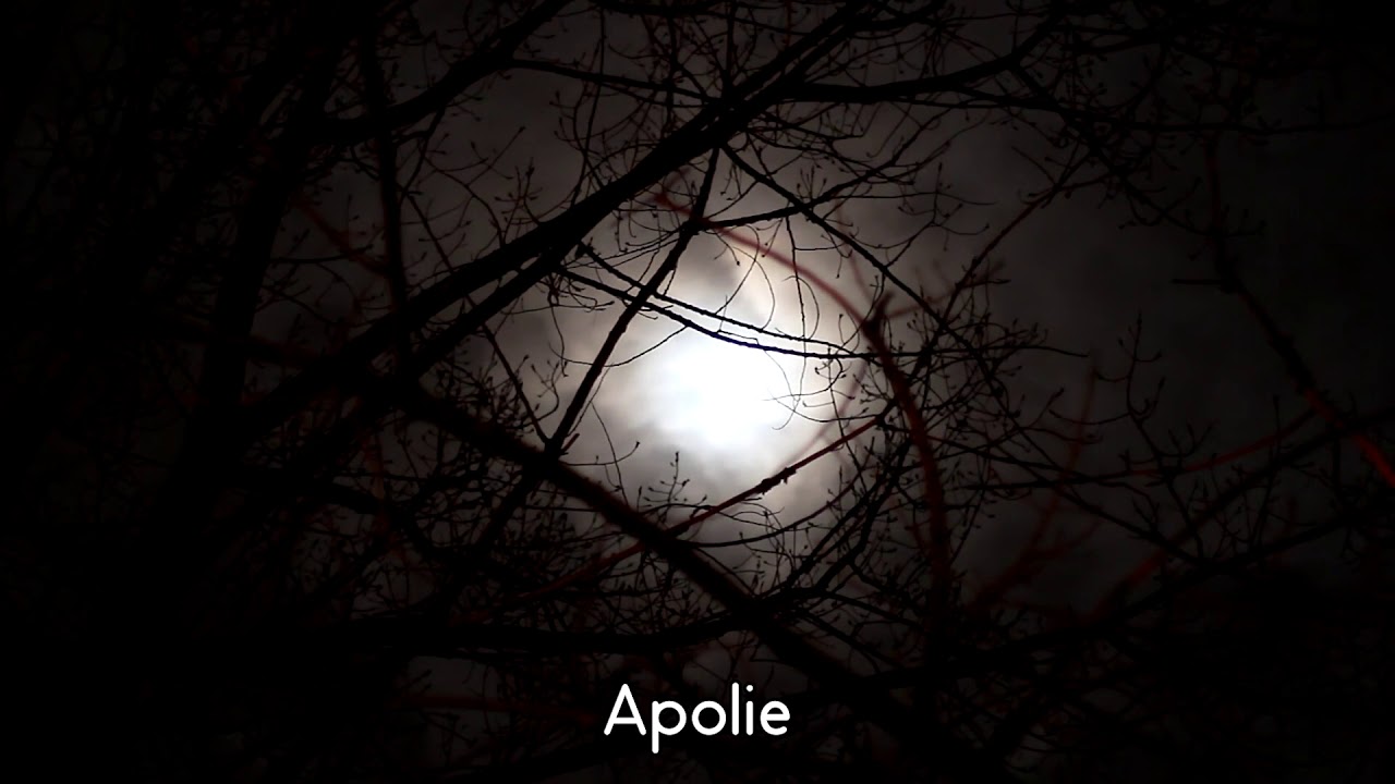 Elven Song: The Roses Lament