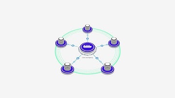 Liner and Agency Overview