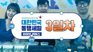 [대한민국 동행세일] 3일차 라이브커머스 in 서울, 창원 (3일차)