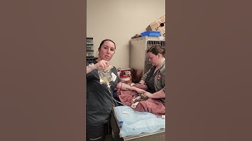 skills group 12 cat subQ