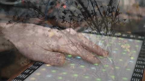 Subharmonicon, Linnstrument, Endorphines Shuttle System