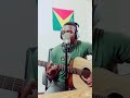 Blem-drake cover