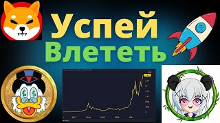 Richquack,Shiba Inu,Panda Girl,Эти Проекты Сделают Тебя Миллионером,Сибо Ину,Криптовалюта,Биткоин