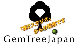 お試し？おかわり？プレゼント？数量限定❗️《プチ福袋》GTJ総意の¥15,000