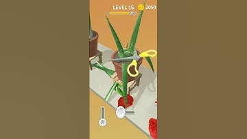 Oddly Satisfying ASMR Video