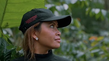 Bali Beans - Introduction Video