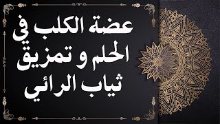 عضة الكلب في الحلم و تمزيق ثياب الرائي تفسيرات من القران و السنة النبوية