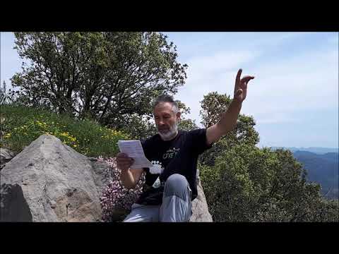 Vídeo: Les Pomes Cauen Del Pomer Abans De Madurar: Per Què Cauen De L'arbre Immadures? Què Passa Si El Pomer Tira Els Fruits Abans De Madurar?