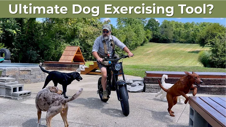 I'm Sold On These Electric Bikes | WindOne E2 Electric Bike Review