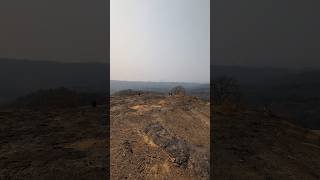 Magnificent Landscape Of Sanjay Gandhi National Park Cinematic Graphic View nature In Summer