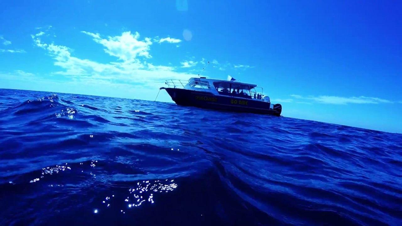 Scuba Dive Middle Reef 26-09-16