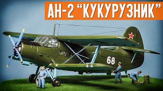 "Kukuruznik" or hard worker An-2. A diorama with your own hands as a gift.