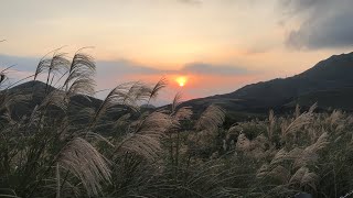 健行映象- 風櫃嘴上擎天崗(頂山石梯嶺步道)20191110