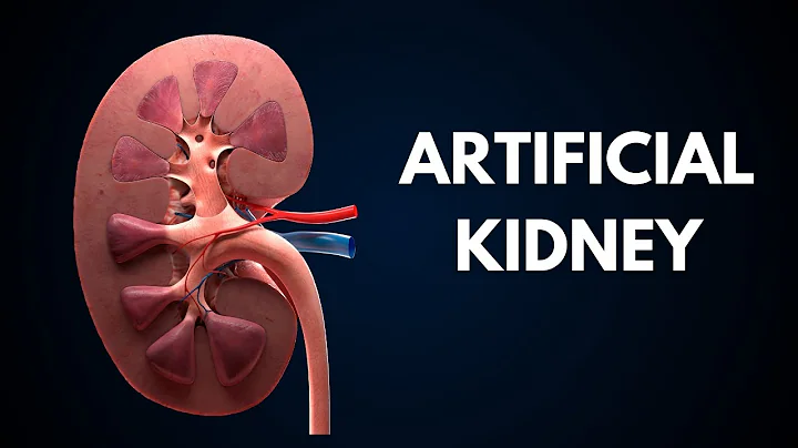The Future of Kidney Failure | Innovative Treatments