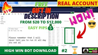 Binary Bot Free Download | HERE'S MY BINARY.COM BOT #2🎁🙂