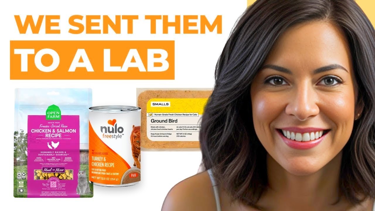 Best Kitten Food for Healthy Growth 2024: Royal Canin Review