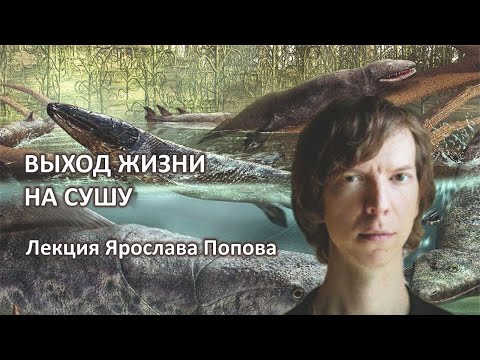 Эволюция. Выход жизни на сушу. Лекция Ярослава Попова.