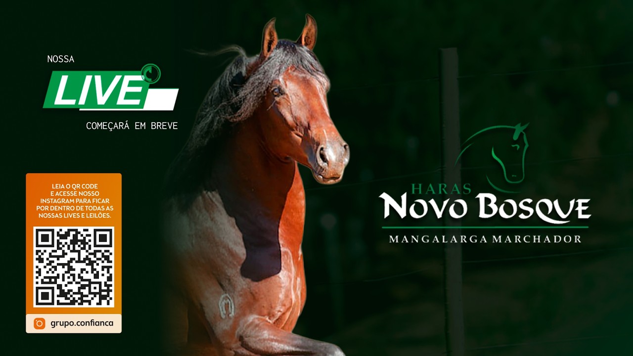 Live de Criação - Haras Novo Bosque