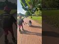 skating stunt, don't try it without any training #skating #skater #skate #skatersharif #reels