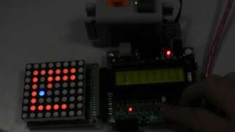 Snakes on a LED Display