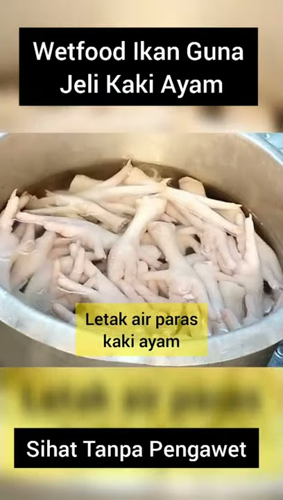 Wetfood isi ikan guna jeli kaki ayam | Makanan Kucing