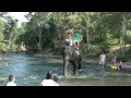 elephant camp in Lao 2012 part2