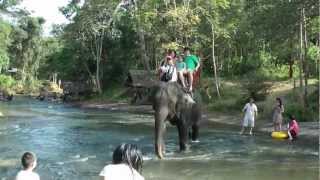 elephant camp in Lao 2012 part2