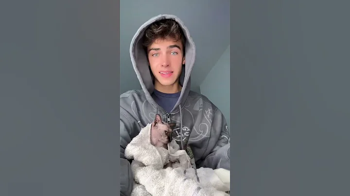 Video 4682631: hairless cat, cat ear cleaning