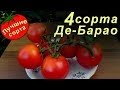 Томат Де Барао. Лучшие Сорта Томатов.