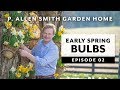 Early Spring Bulbs | FAQ: Garden Home VLOG (2019)