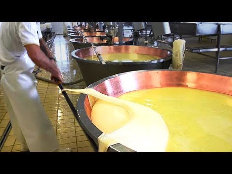 INCRÍVEIS MÁQUINAS DE FABRICAÇÃO DE QUEIJO E SATISFATÓRIAS QUE ESTÃO EM UM NOVO NÍVEL