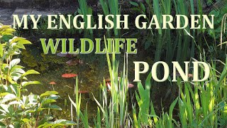 My English Garden Wildlife Pond in April 2020