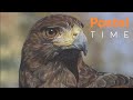 Hawk in Pastel on Pastelmat - Timelapse