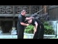 Dim Mak Combatives - Win the fight EVERYTIME !