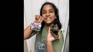 Rumi's Wonder Lab | Experiment 2 | Learning About Dinosaurs