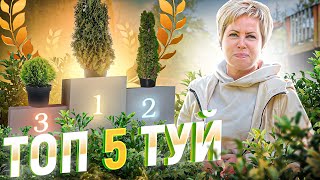 ТУЯ - идеальные сорта для ПОДМОСКОВЬЯ. Садовый гид Лариса Зарубина