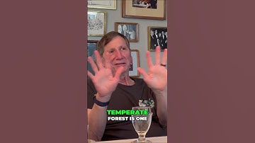 Temperate vs Tropical Forests: The Surprising Difference! @primalbiology