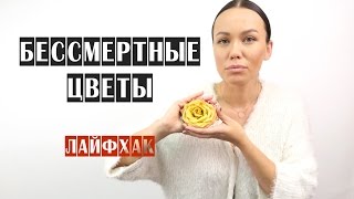 видео Как сохранить цветы свежими подольше – методы сохранения цветов