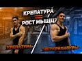 Боль В Мышцах = Рост Мышц? Крепатура После Тренировок И Мифы 16+