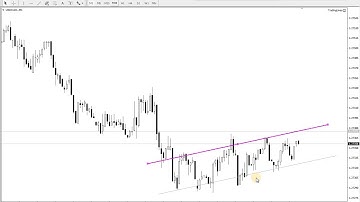 Trading Lines MT4 Expert Advisor Video Guide