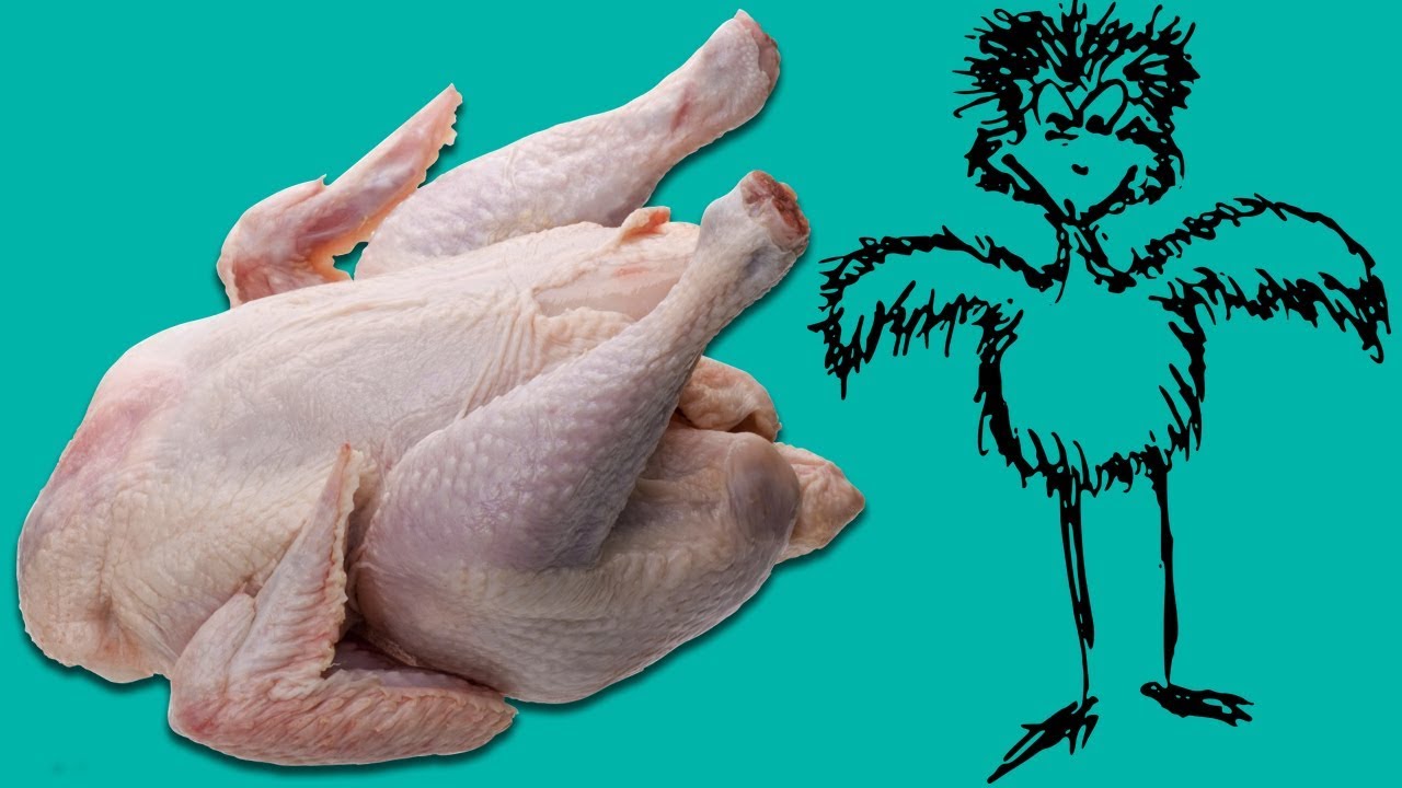 Старая несушка курица. Куры как выбрать. Как выбрать мясо отличное. Возраст курицы несушки. Сталик ханкишиев курица в духовке целиком.