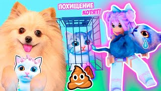 ПОХИЩЕНИЕ КОТЯТ В РОБЛОКС ! СОБРАЛА ЦЕЛЫЙ ДОМ ПИТОМЦЕВ ROBLOX