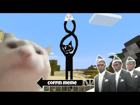 Return of Cartoon Cat in Minecraft - Coffin Meme