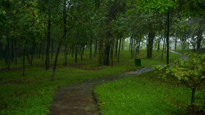 Rainy Night in Enchanted Treehouse 🌧🌲Sleep to Forest Rain Sounds White Noise