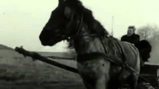 The Turin Horse -  Opening Scene Resimi