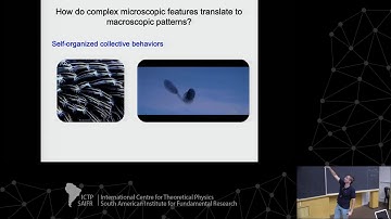 Seminar: Ecological significance of imperfectly synchronized collective behaviors