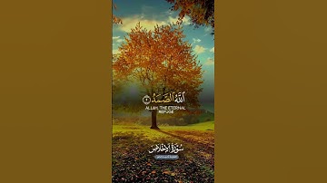 الدال على الخير كفاعله انشرو القرآن الكريم ⚘️