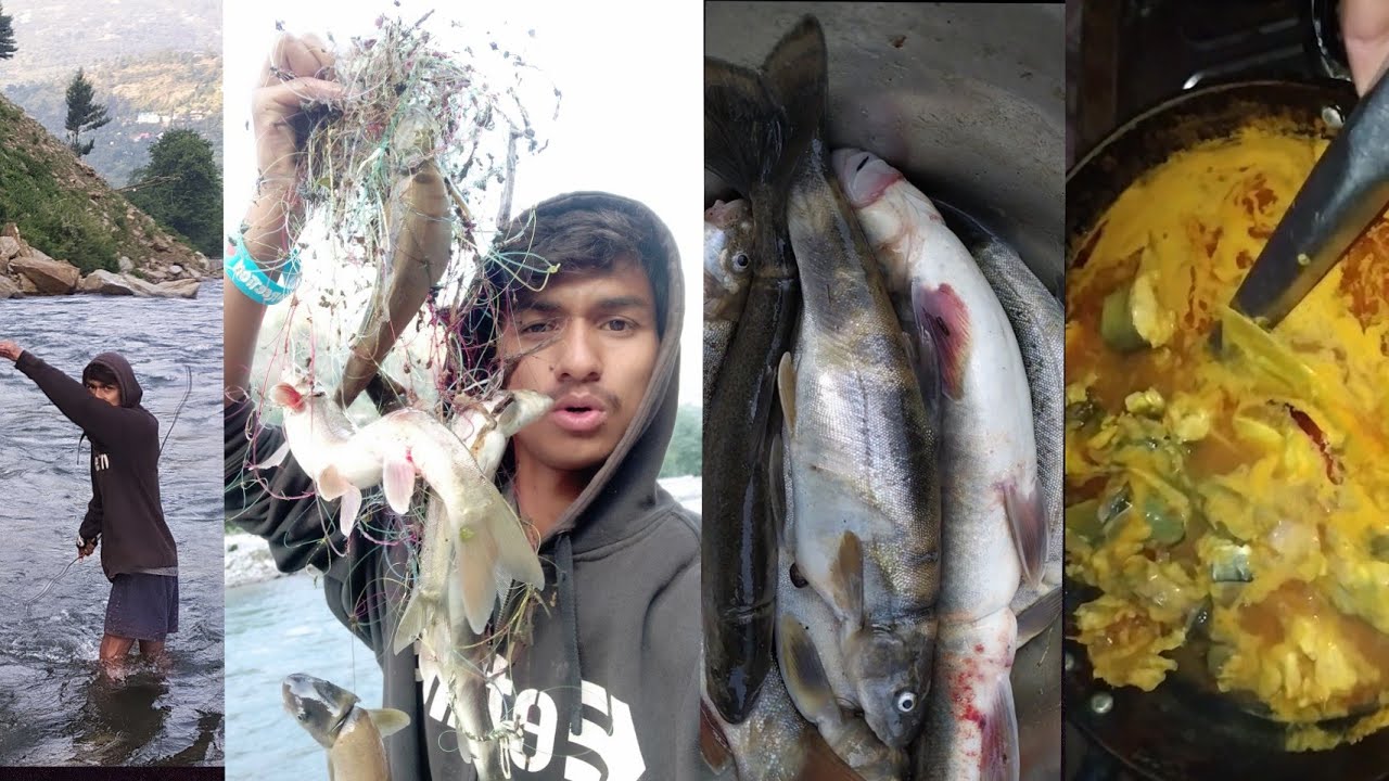 Fishing in Himachal and cook indian style - YouTube