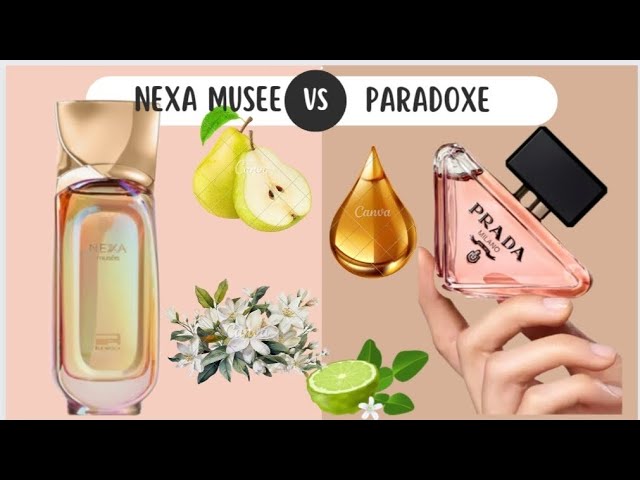 RUE BROCA NEXA MUSE'E dupe PARDA PARADOXE - YouTube